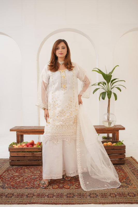 Rabecka Fancy  ( Stitched 3 Pcs )