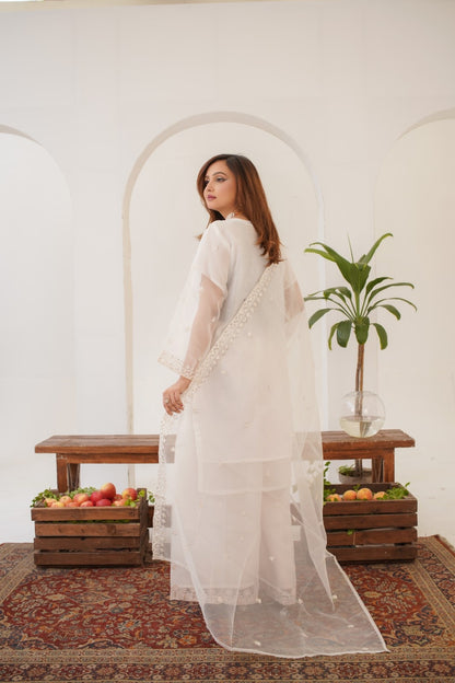 Rabecka Fancy  ( Stitched 3 Pcs )