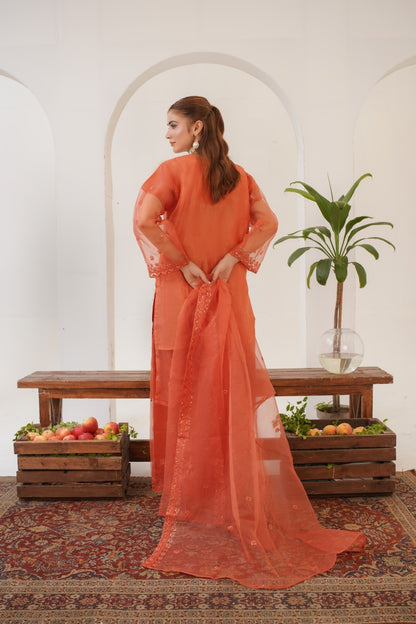Rabecka Fancy  ( Stitched 3 Pcs )