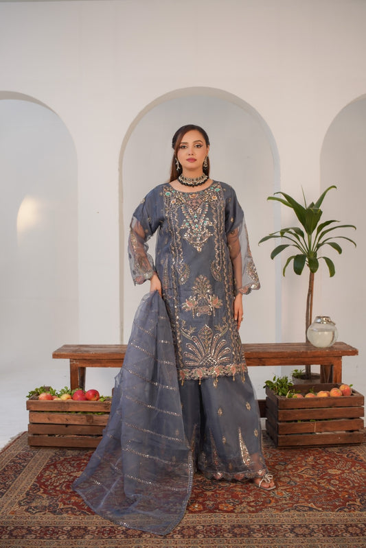 Payal  (Fancy Stitched 3 Pcs )